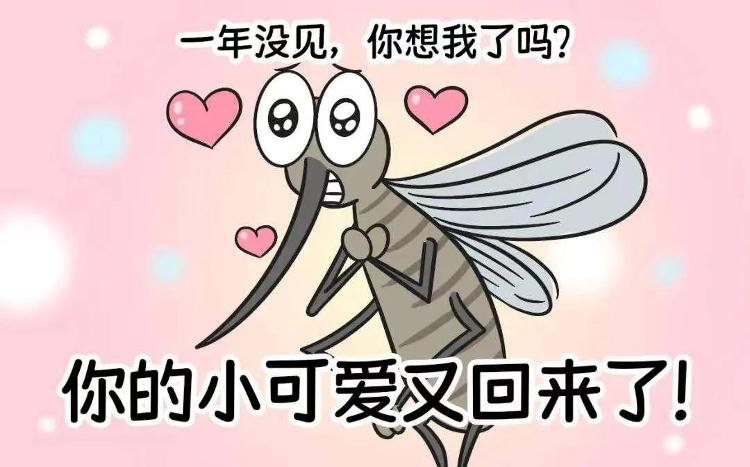 蚊子多怎么办有何妙招驱蚊,秋天蚊子咬人厉害有什么办法驱蚊
