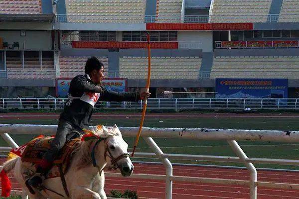 非遗赛马项目,少数民族赛马纯血马