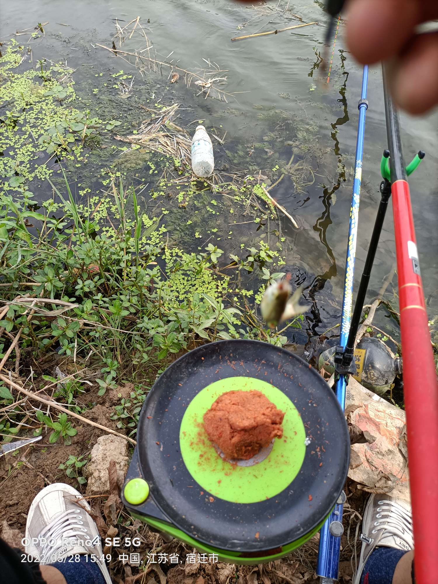 「5月鱼获」来者不拒，成功与餐条结缘