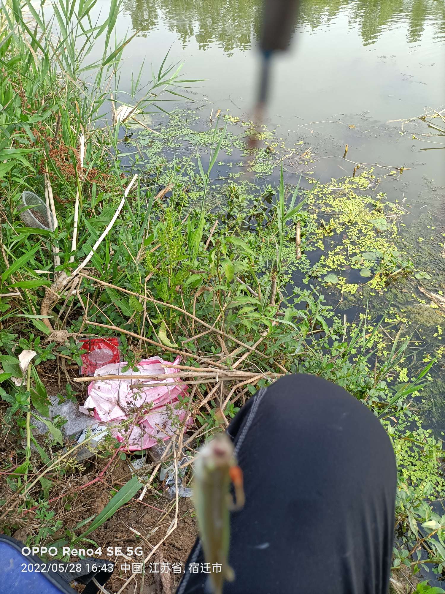 「5月鱼获」来者不拒，成功与餐条结缘