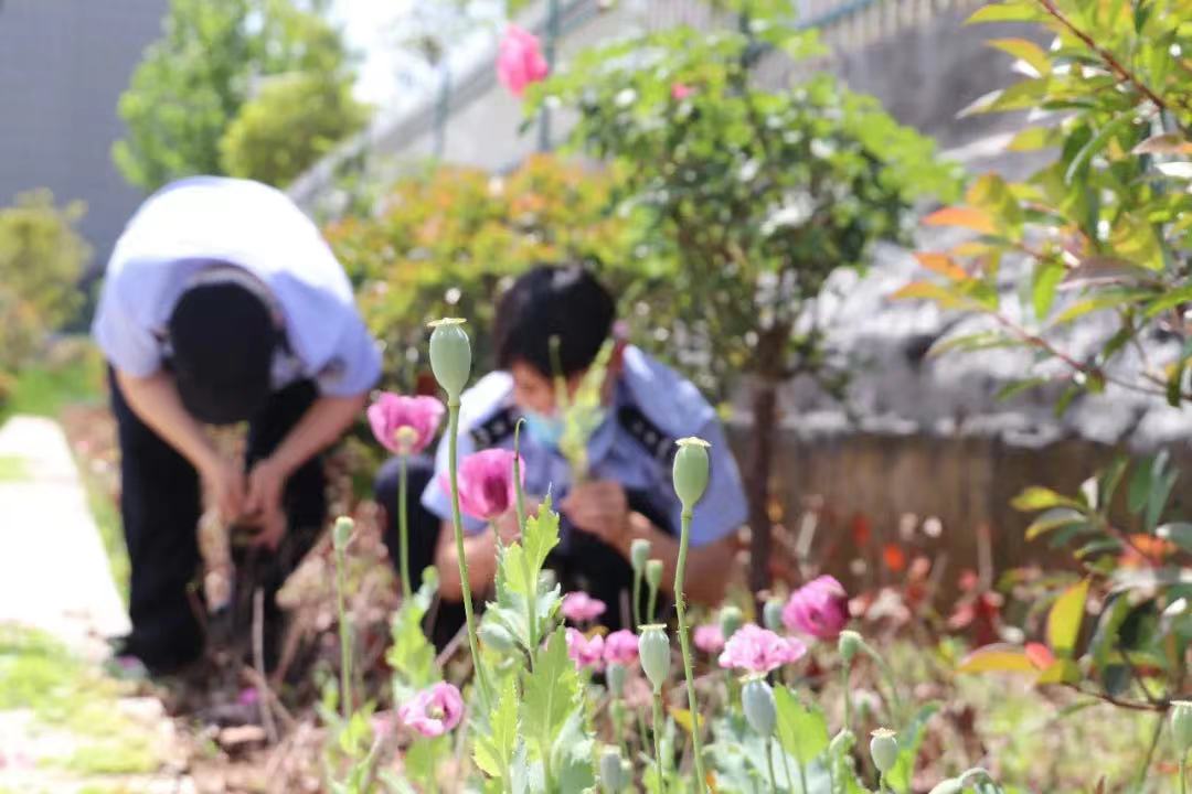 孝感市孝昌县禁毒大队,禁毒大队十佳警察
