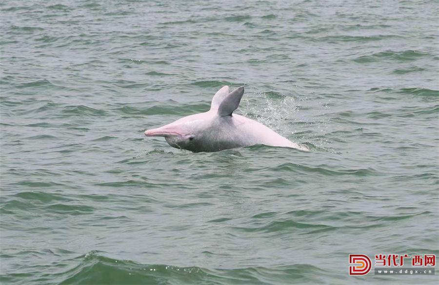 鍖楅儴婀剧殑寰瑧,瀹堟姢鍖楅儴婀炬渶缇庢捣宀哥嚎