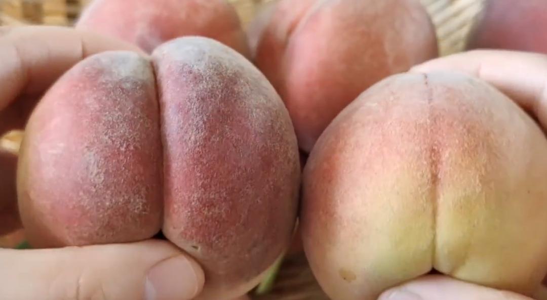 买桃子怎么样选才能让桃子不裂口,买桃子需要注意哪些