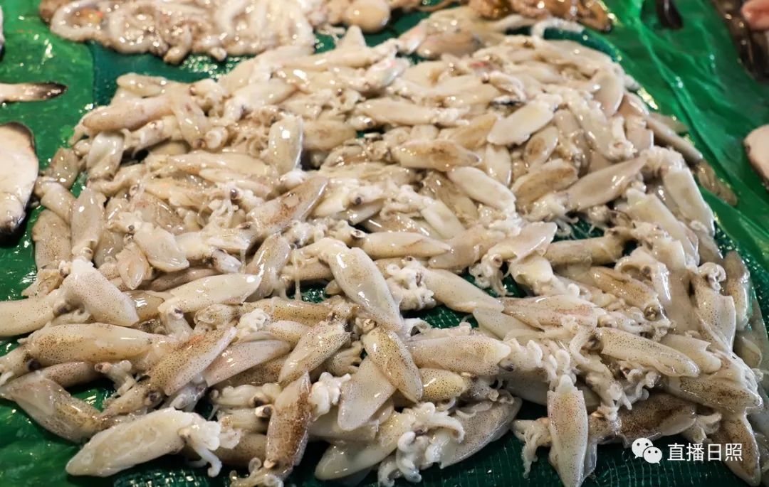 日照现在海鲜价,日照2019海鲜价格表