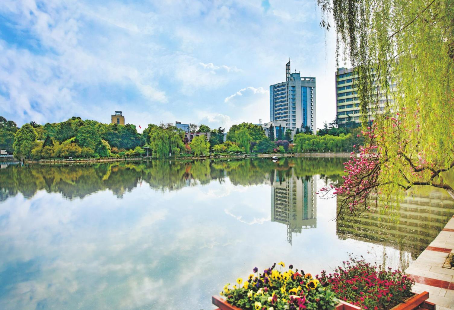 直通高招三大特点,直通高招