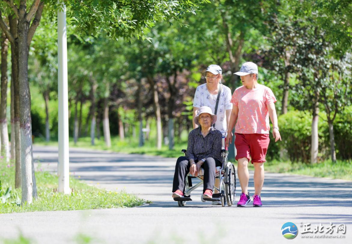 漫步城中,漫步草原美景