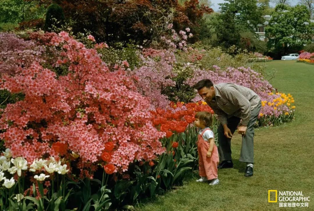 电影诞生以来最伟大的30部作品,最伟大的作品详解