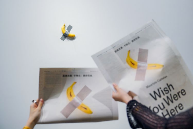 一根香蕉价值15万美金,莫瑞吉奥卡特兰香蕉