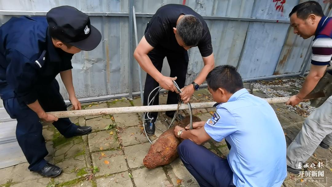 昆明金诺培训学校叫停了吗,昆明近期大事