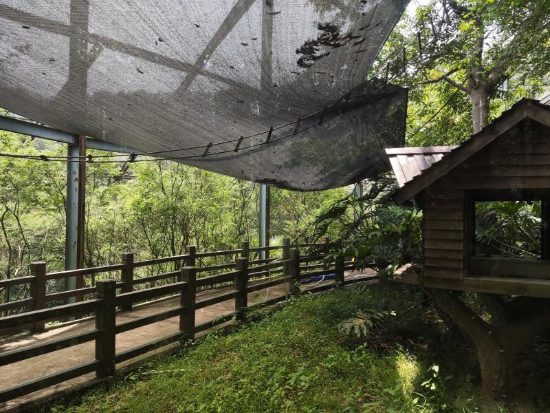 福州最值得去的动物园,动物园夏日清凉