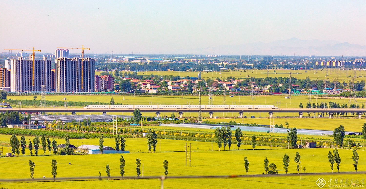 我为群众办实事活动献言献策,石家庄市我为群众办实事擂台赛