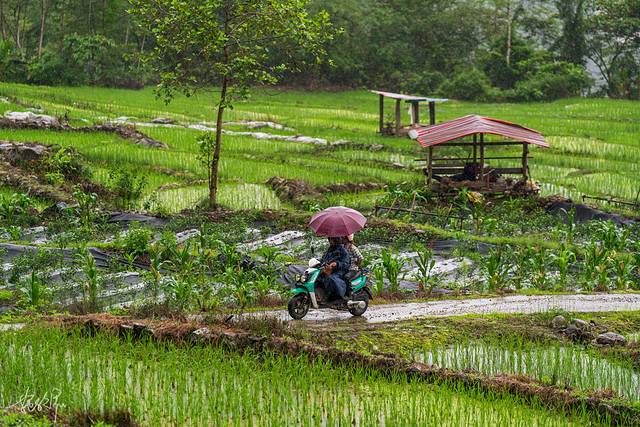 西藏骑行历险记,西藏骑行day1