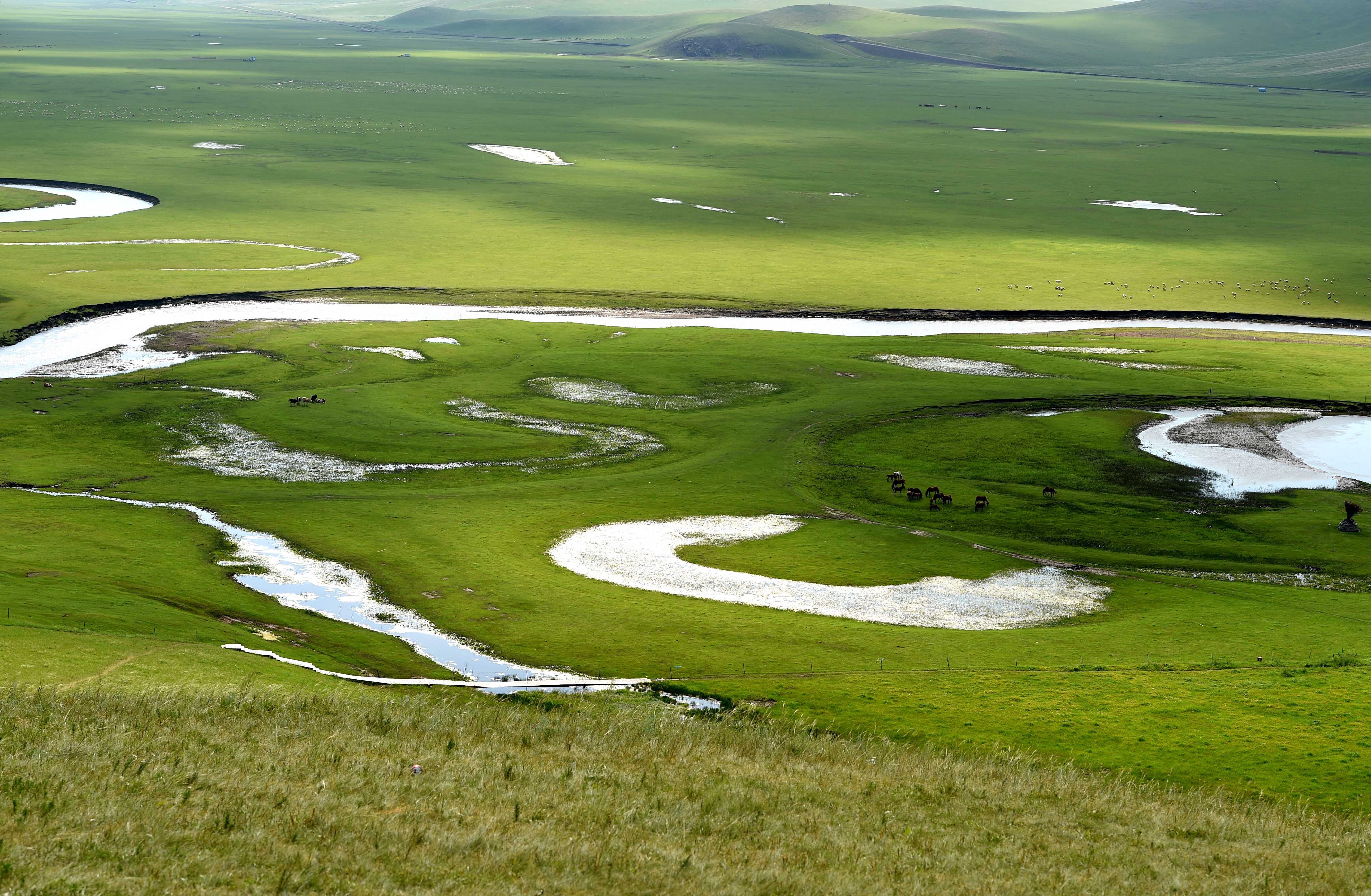 美丽中国草原,呼伦贝尔大美草原
