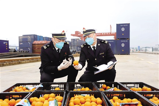 怀化经开区加快推进国际陆港建设,怀化国际陆港经济开发区建设现状