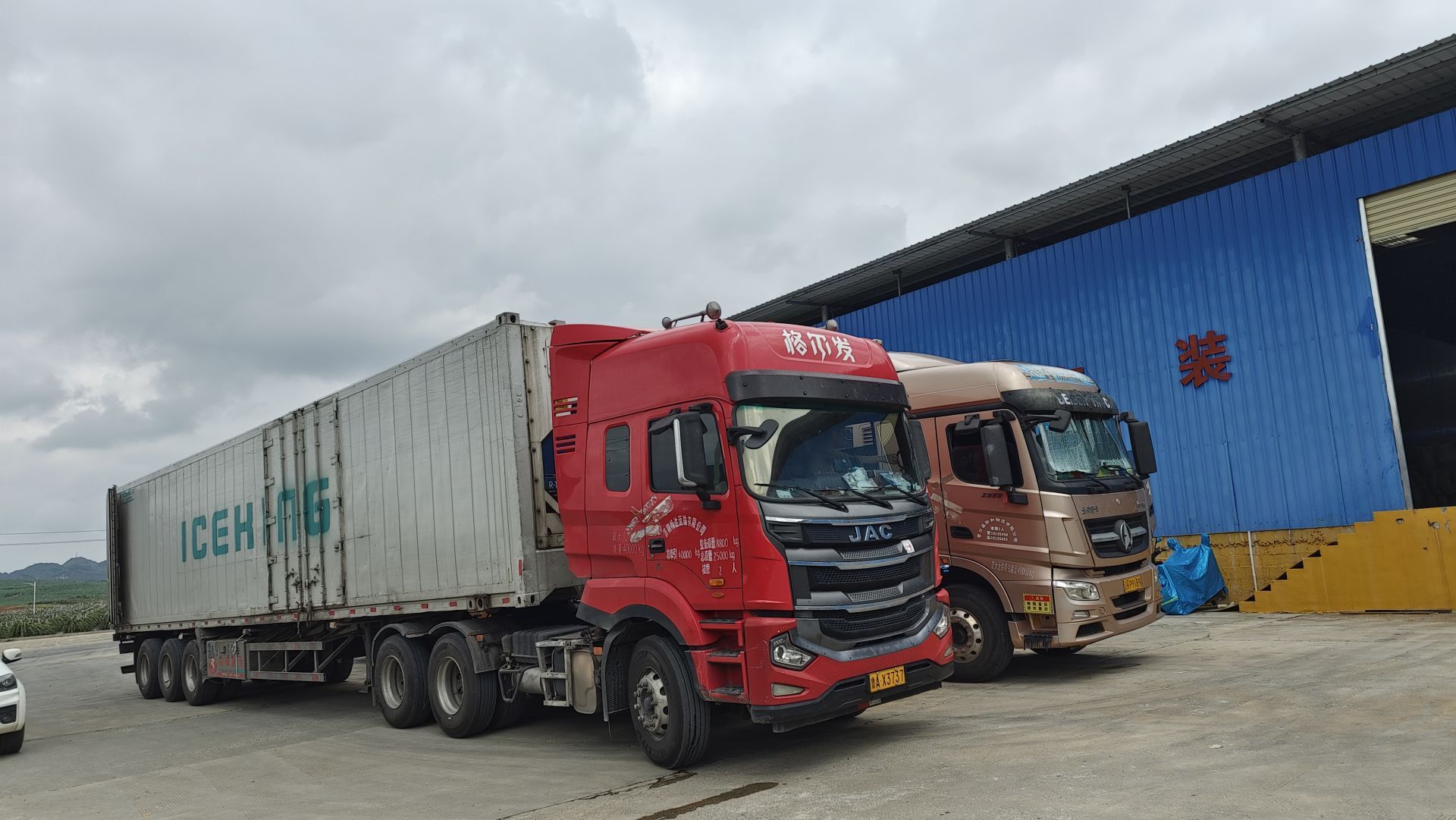 走进县城看发展｜火龙果化身“致富果”隆安县特色农业发展红红火火