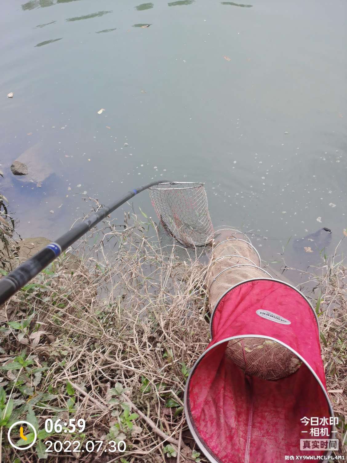 「七月鱼获」骗最憨的巨草！上最憨的洋当
