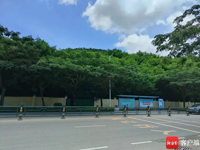 名字太俗？三亚“狗岭路”改名之争，你站哪边？