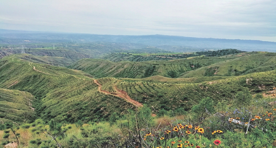 临汾市规划和自然资源局建设,临汾市自然资源规划局