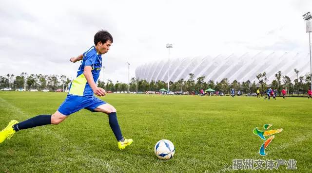 最新福州这些场所恢复开放,福州体育场免费开放