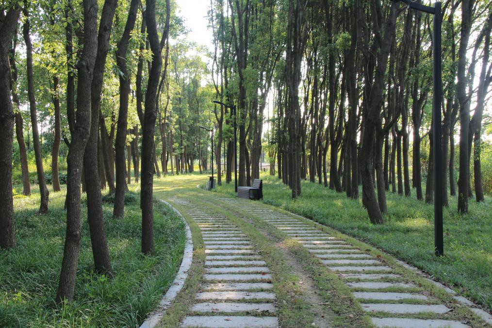 浙江有多少平原,浙江第四大城市嘉兴