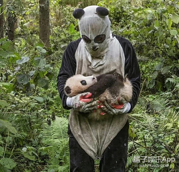 橘子晚报/吴京拒绝女嘉宾挽手?姜昇润恋情?