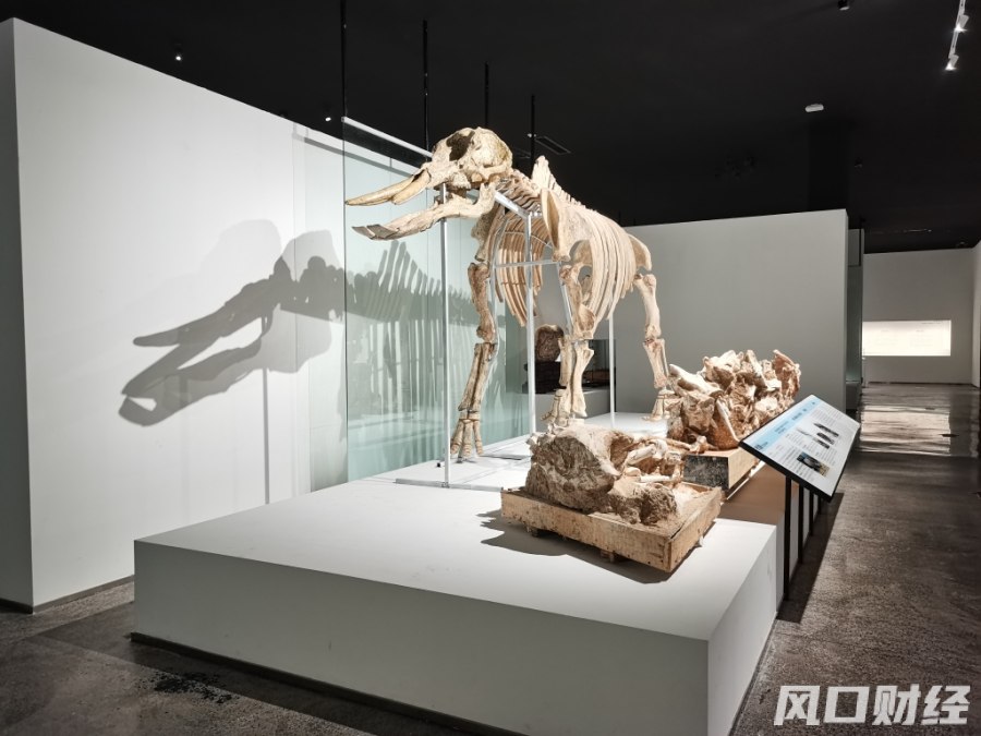 矿坑景区,废弃矿坑改造5a景点