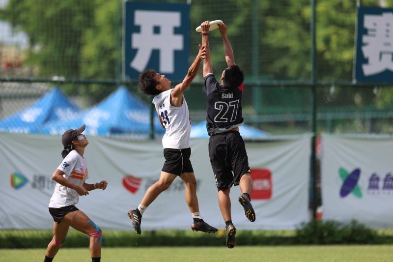 户外运动回旋飞盘,飞盘出圈掀起新户外运动热