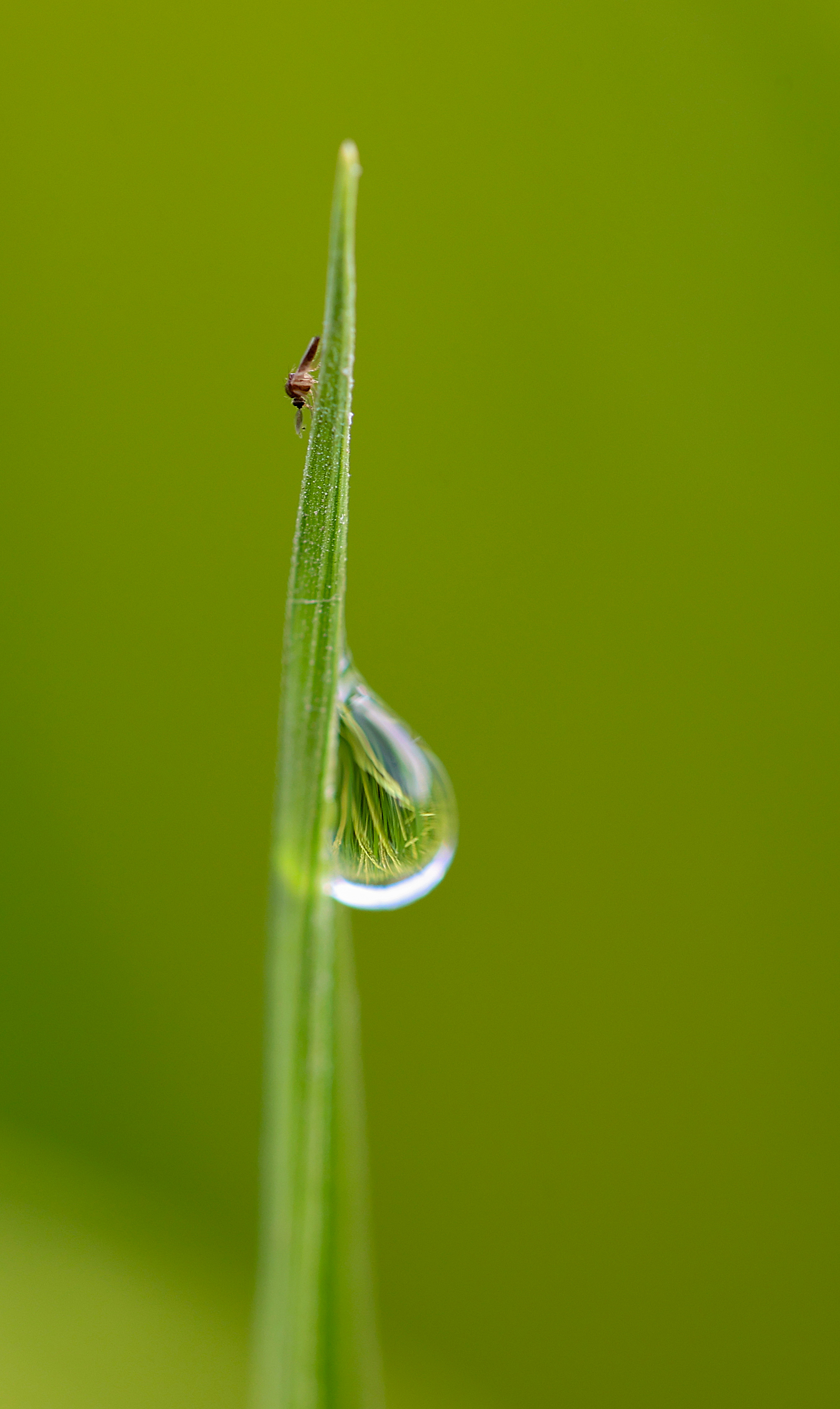 #（环境）微视界——处暑