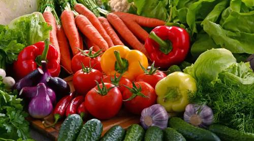 高温少雨全力抓好抗旱保种工作,高温季节果园抗旱技术