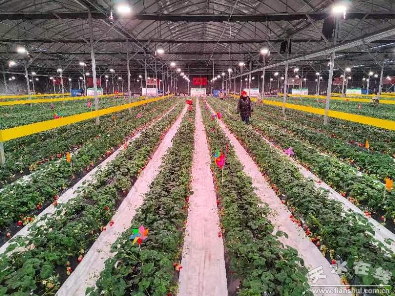 秦州区经济发展概述,天水秦州区2021年发展规划