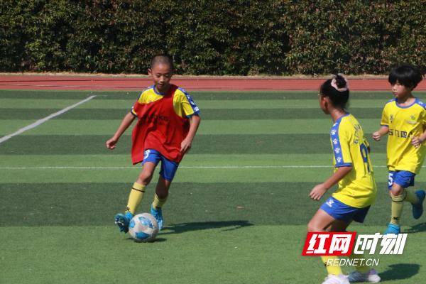 石门县教育政策,石门足球教育怎么样