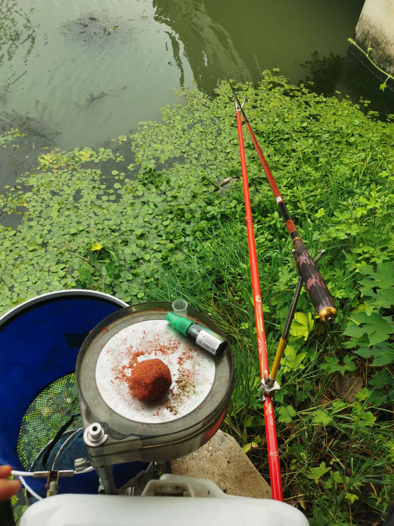「浮钓2095」2095初显成效！野钓、黑坑果然通杀