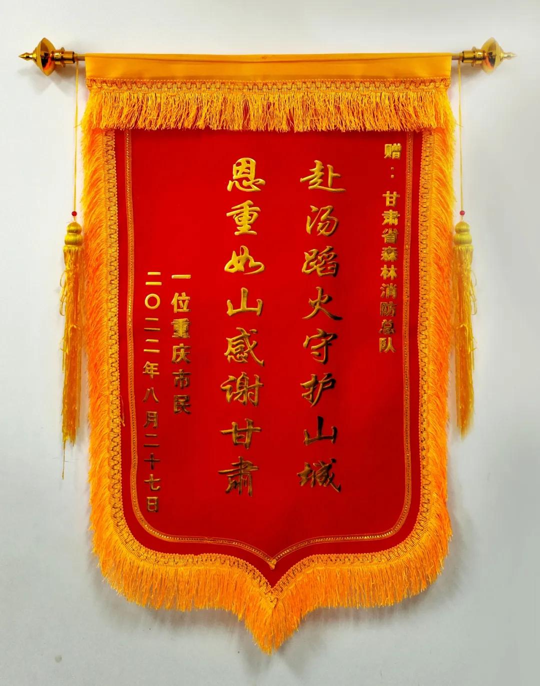 临危不惧全力以赴扑救山火,义不容辞赴前线