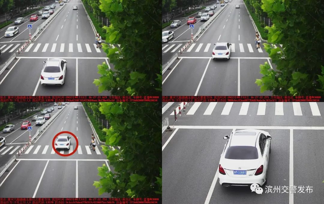 滨州不礼让行人扣多少分罚多少钱,山东滨州交警查酒驾不规范行为