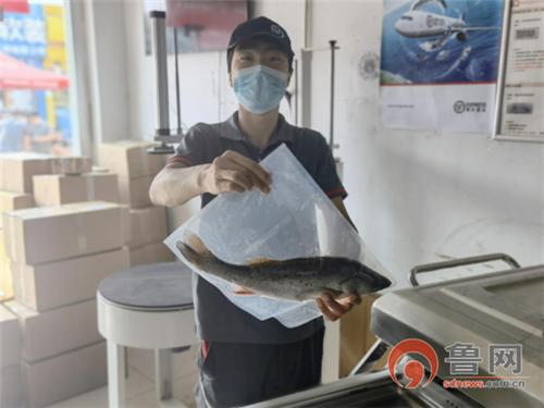 真空包装海鲜保鲜技术,冷链寄真空包装鱼