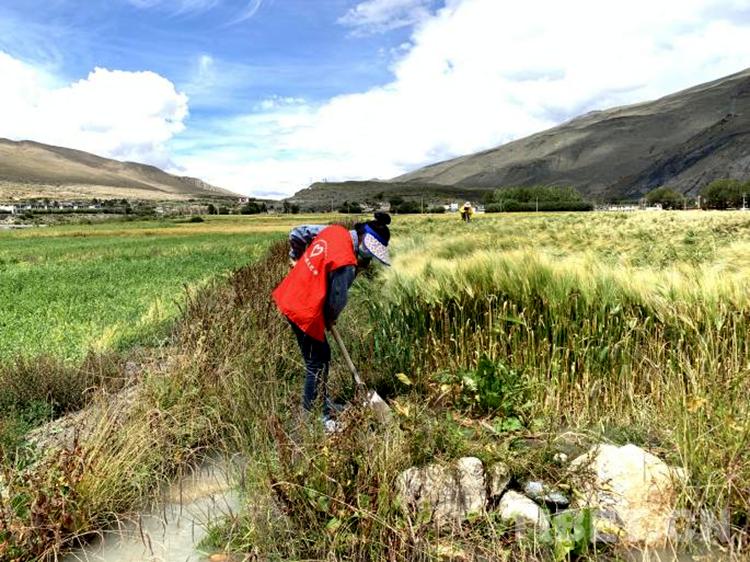 西藏抗疫支援队,西藏山南扎囊抗疫志愿者