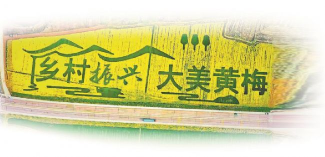 黄梅乡村振兴战略指挥部成员,黄梅县乡村振兴示范村