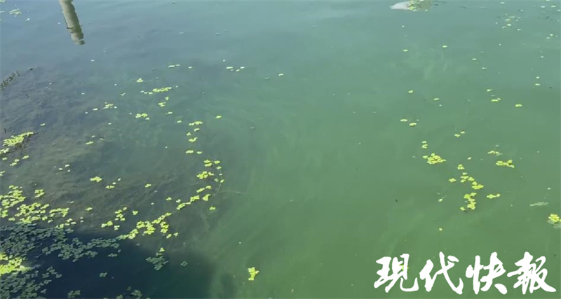 大闸蟹中秋节以后价格会低嘛,大闸蟹中秋价格