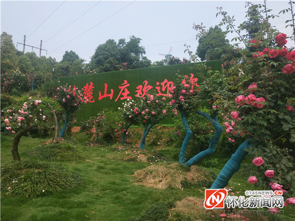 十年辉煌再启航,十年风雨铸辉煌高潮版