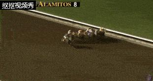 五匹马同时冲线，奖金怎么分？