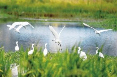 奋进新时代我们的光荣与梦想,奋进新时代谱写新篇章