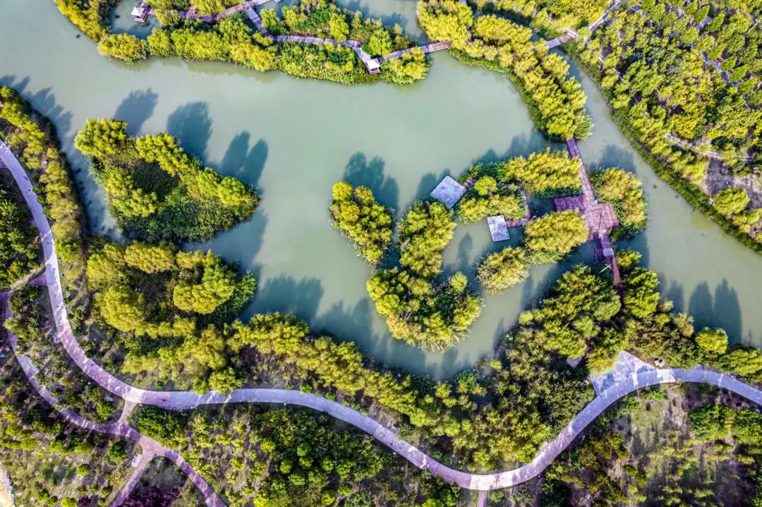 临颍最美千亩湖,临颍县千亩森林公园
