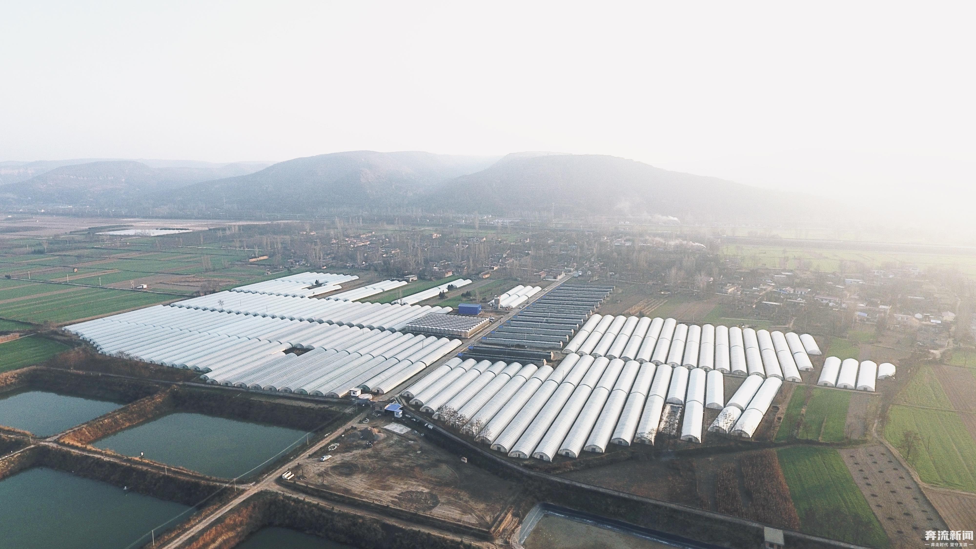 我们这十年经济的变化,甘肃平凉市泾川县乡村振兴战略