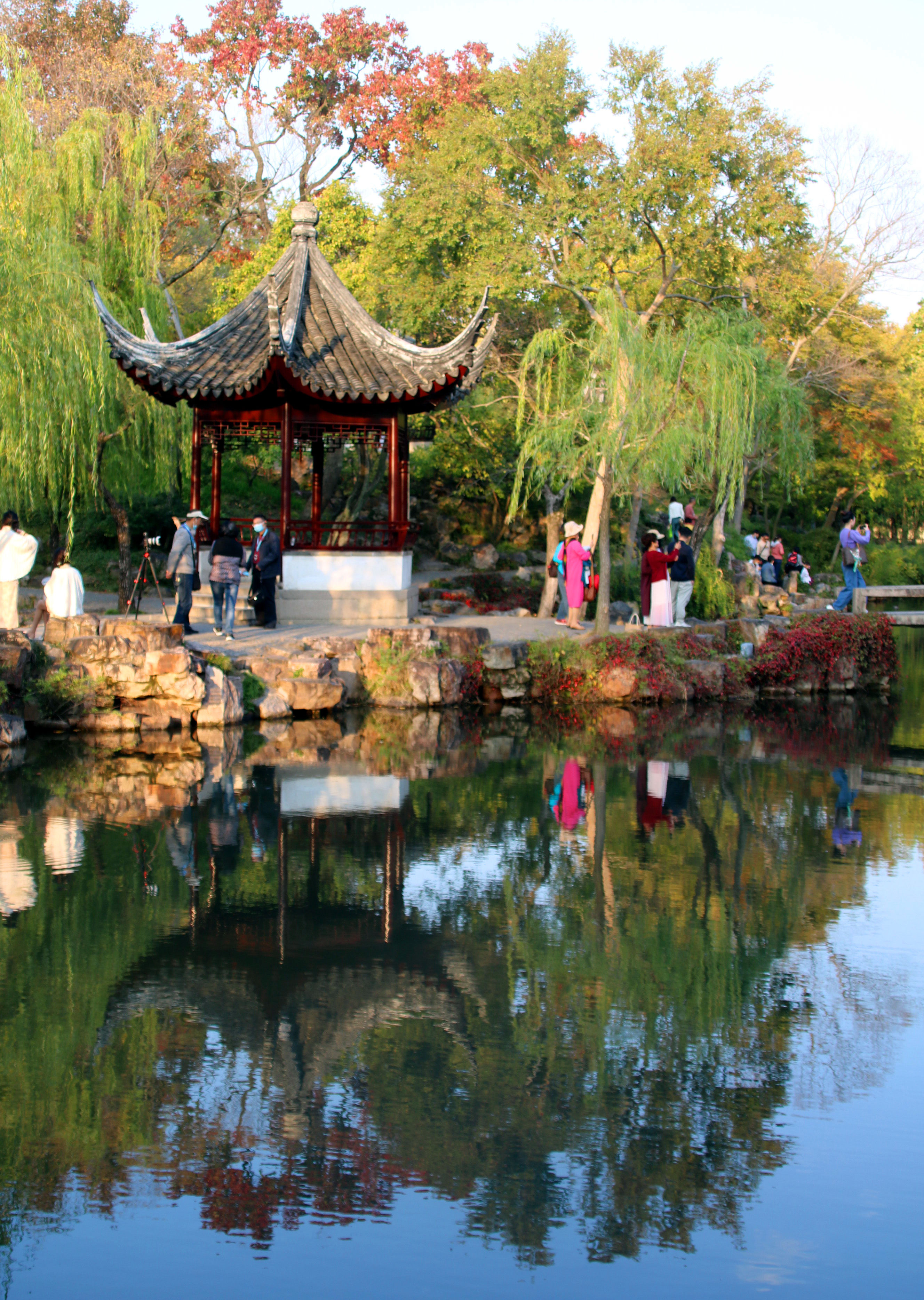 拙政园秋色毕致中,苏州秋色拙政园美景