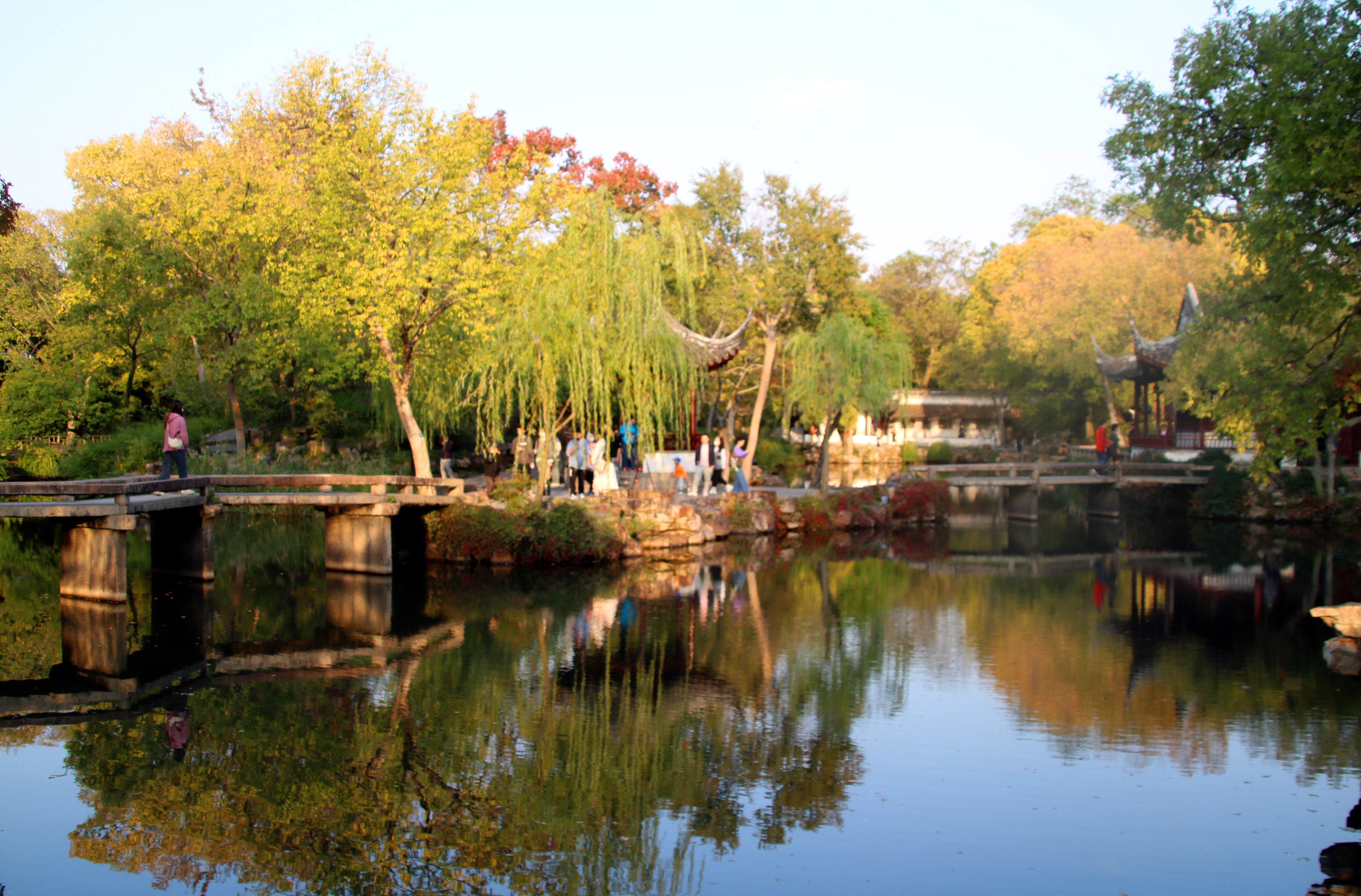 拙政园秋色毕致中,苏州秋色拙政园美景