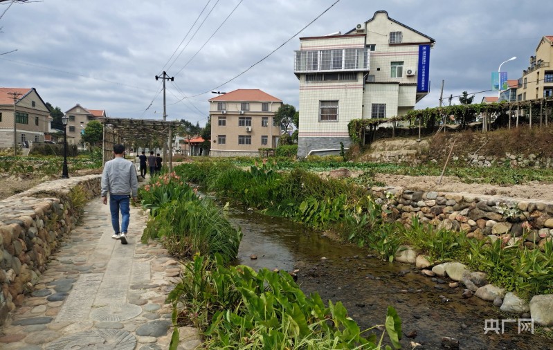 乡村守护人苏货新农人返乡创业,90后新农人回乡创业乡村振兴