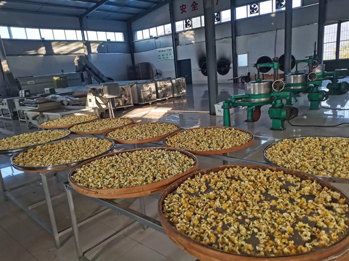 被忽视的凤鸣毛尖,被人们忽视的一款茶叶茶沫