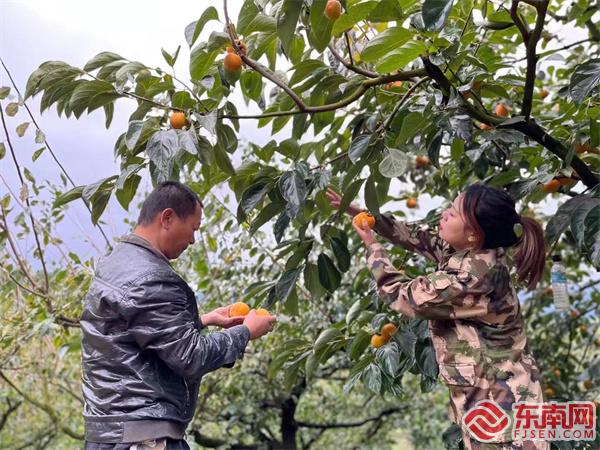 宁化退伍女兵,福建三明女兵