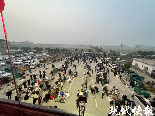 苏北农村的致富路,苏北偏僻小村庄的水晶致富路