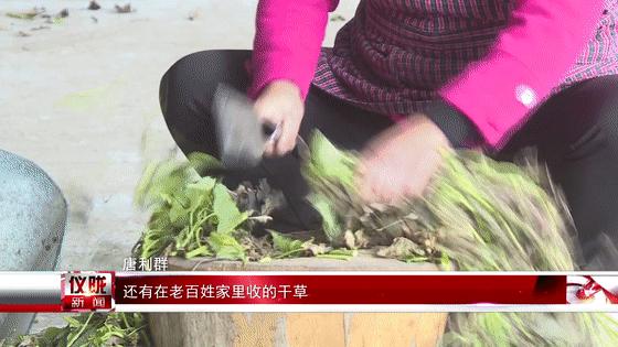 一鹿高歌书摘,一鹿高歌名录